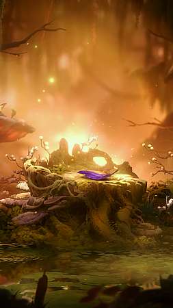 Ori and the Will of Wisps wallpapers or desktop backgrounds