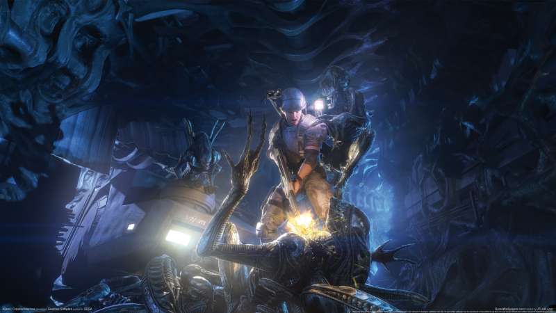 Aliens: Colonial Marines wallpaper or background