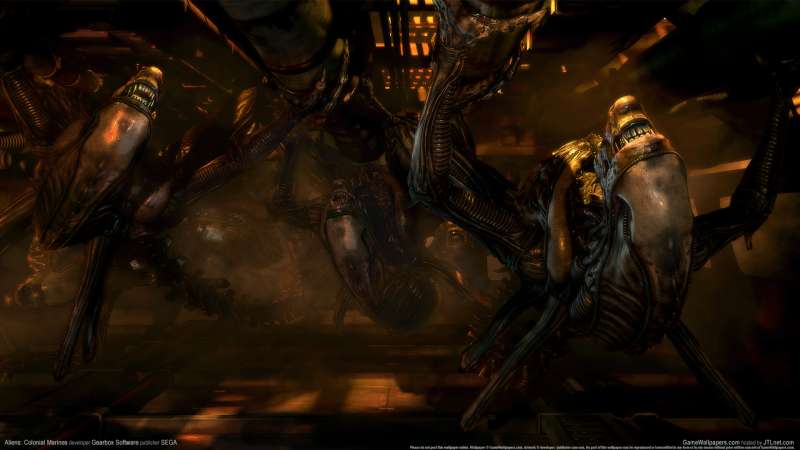 Aliens: Colonial Marines wallpaper or background