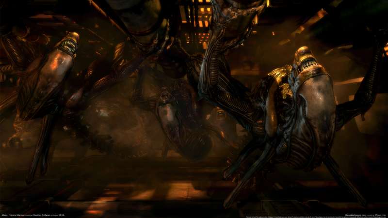 Aliens: Colonial Marines wallpaper or background