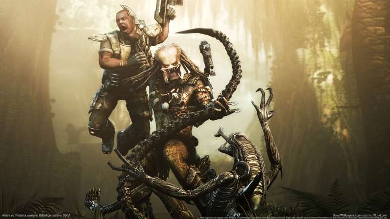 Aliens vs. Predator wallpaper or background