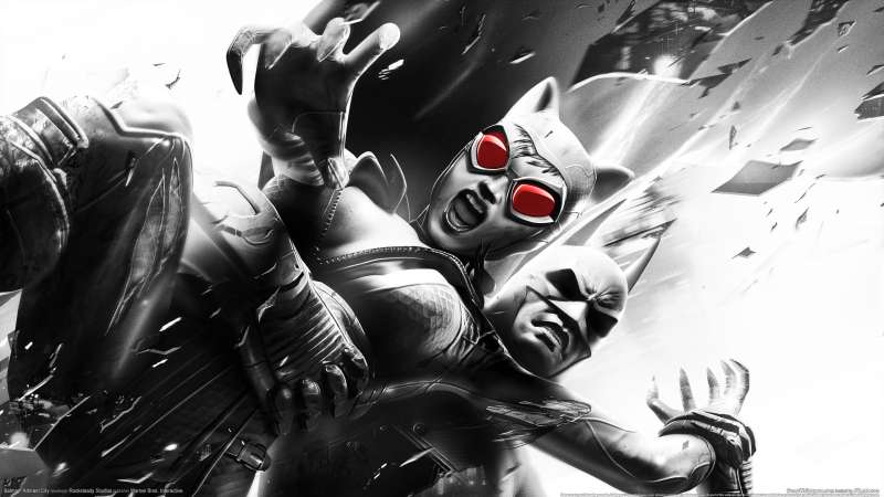 Batman: Arkham City wallpaper or background