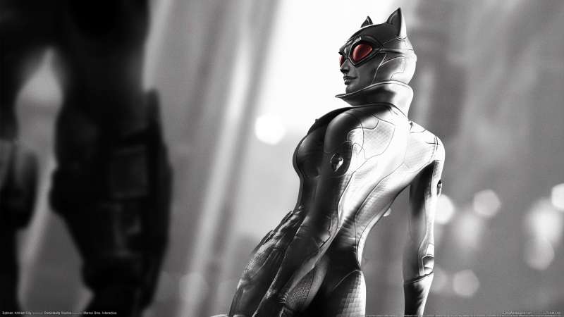 Batman: Arkham City wallpaper or background