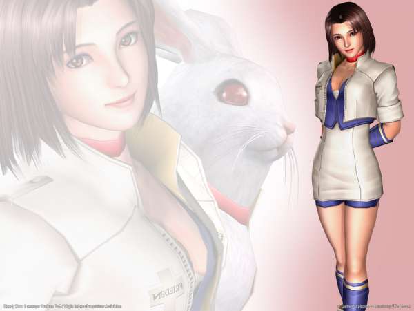 Bloody Roar 3 wallpaper or background