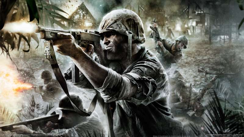 Call of Duty 5: World at War wallpaper or background