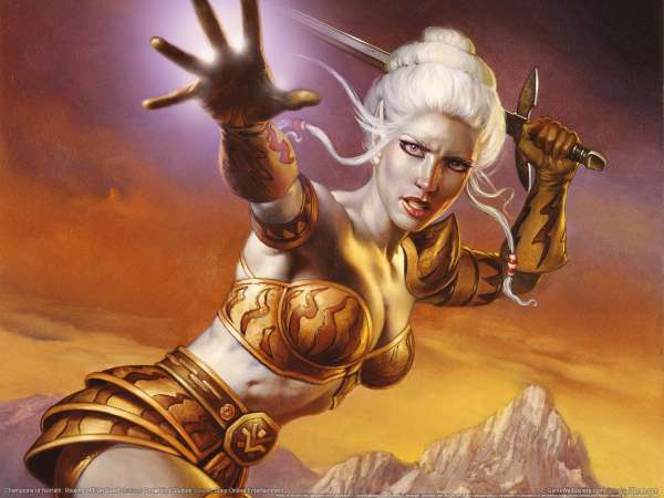 Champions of Norrath: Realms of EverQuest wallpaper or background