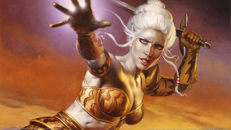 Champions of Norrath: Realms of EverQuest wallpaper or background