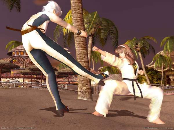 Dead or Alive 3 wallpaper or background