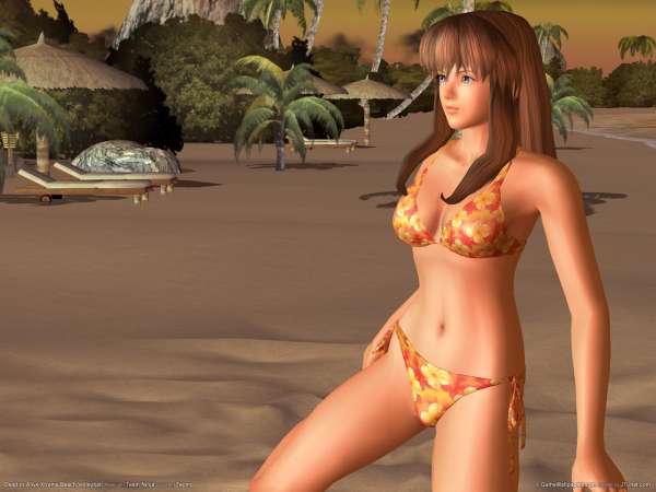 Dead or Alive Xtreme Beach Volleyball wallpaper or background