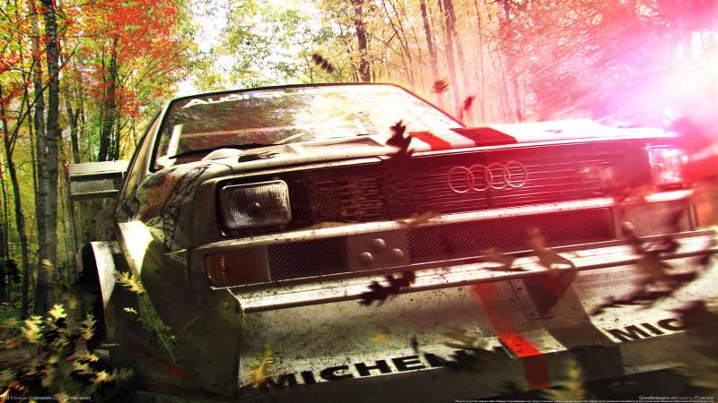 Dirt 3 wallpaper or background