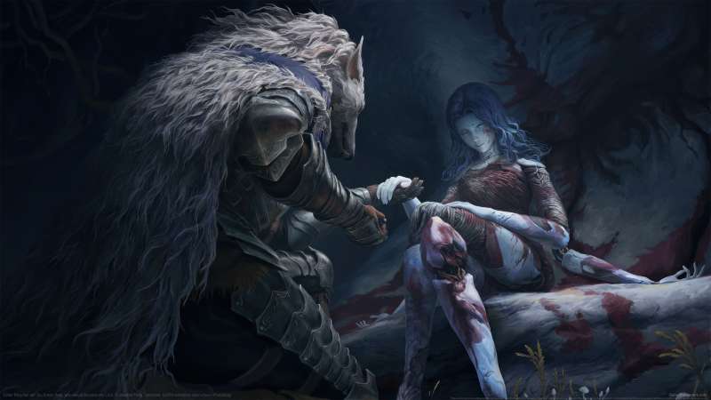 Elden Ring fan art wallpaper or background