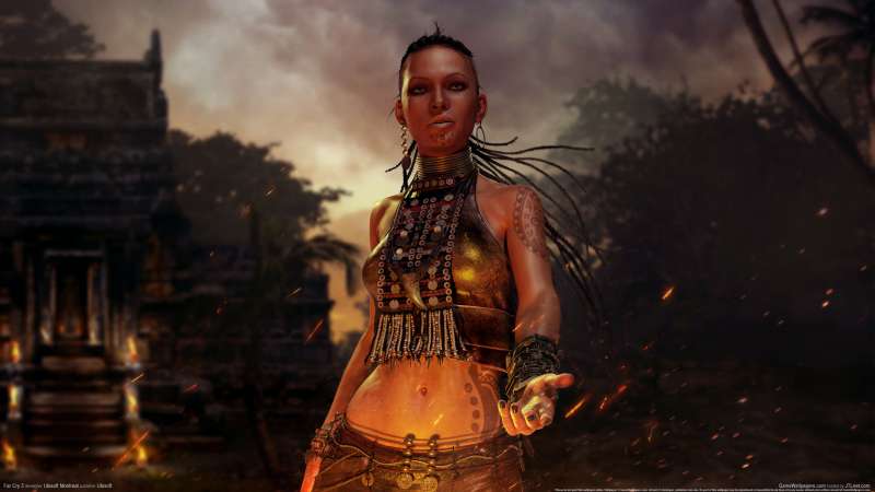 Far Cry 3 wallpaper or background