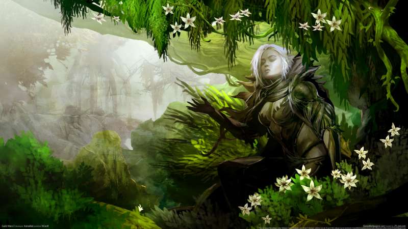 Guild Wars 2 wallpaper or background