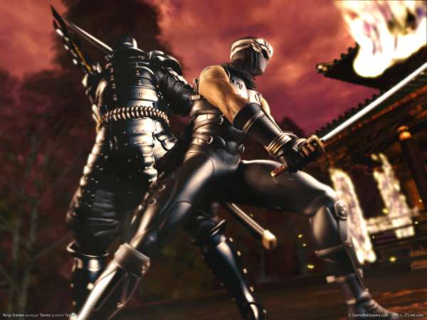 Ninja Gaiden wallpaper or background