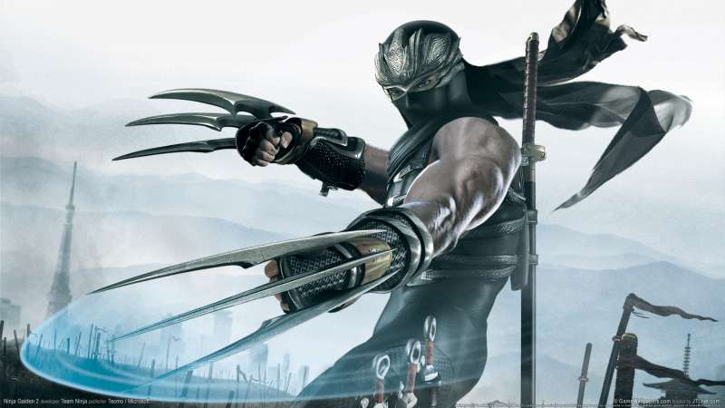 Ninja Gaiden 2 wallpaper or background