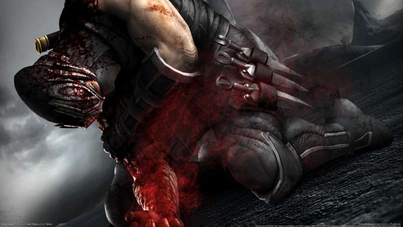 Ninja Gaiden 3 wallpaper or background