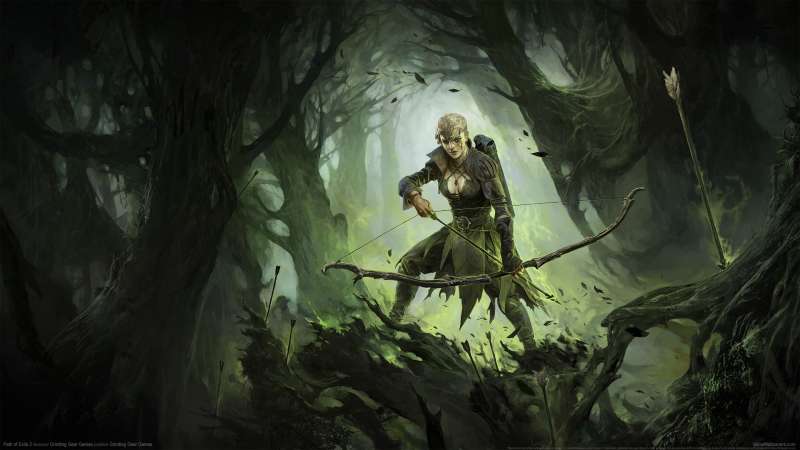 Path of Exile 2 wallpaper or background