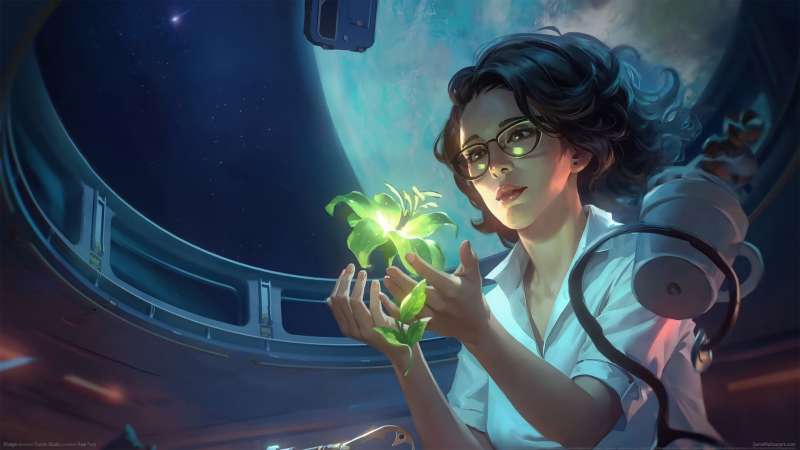 Rivage wallpaper or background