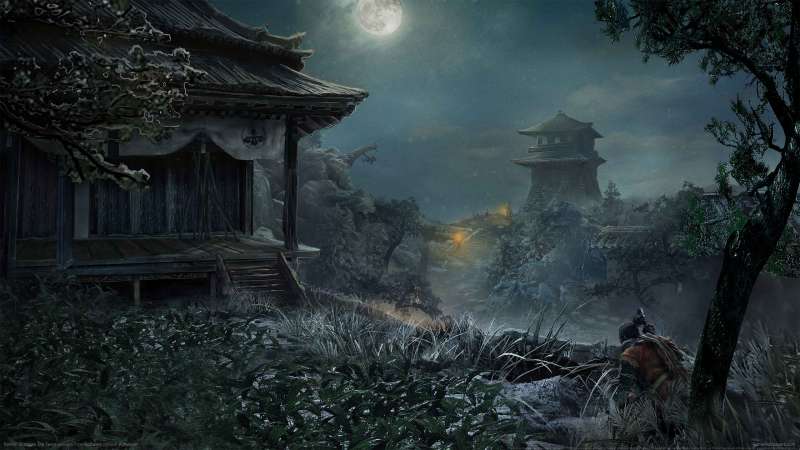 Sekiro: Shadows Die Twice wallpaper or background