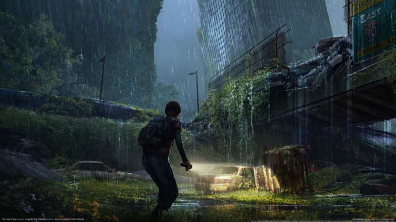 The Last of Us wallpaper or background