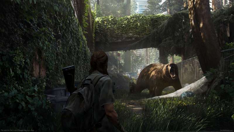 The Last of Us: Part 2 wallpapers or desktop backgrounds