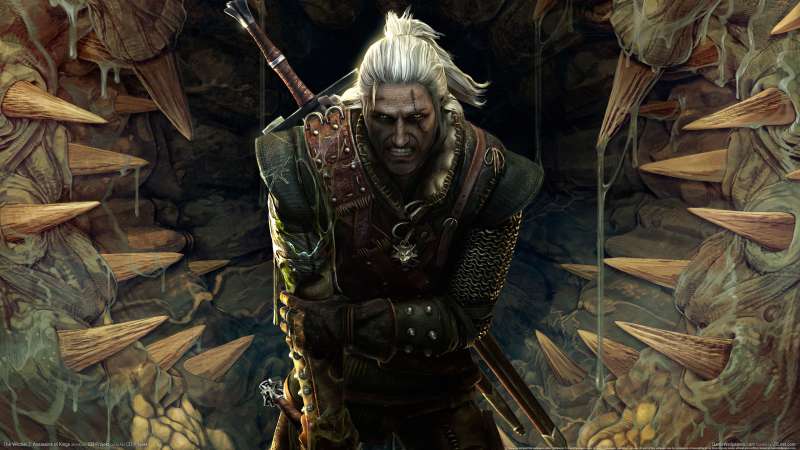 The Witcher 2: Assassins of Kings wallpaper or background