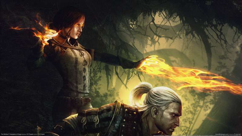 The Witcher 2: Assassins of Kings wallpaper or background