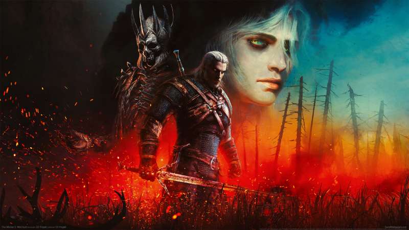 The Witcher 3: Wild Hunt wallpaper or background