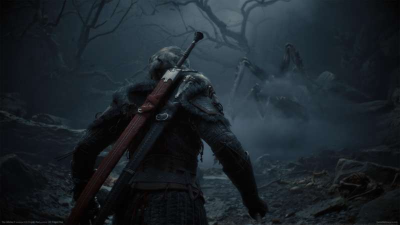 The Witcher 4 wallpaper or background