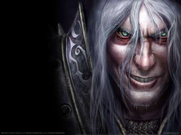 Warcraft 3: Frozen Throne wallpaper or background