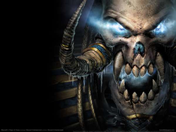 Warcraft 3: Reign of Chaos wallpaper or background