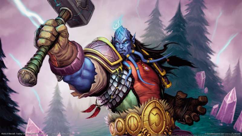 World of Warcraft: Trading Card Game wallpaper or background