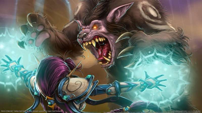 World of Warcraft: Trading Card Game wallpaper or background