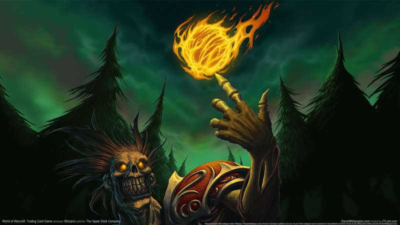 World of Warcraft: Trading Card Game wallpaper or background