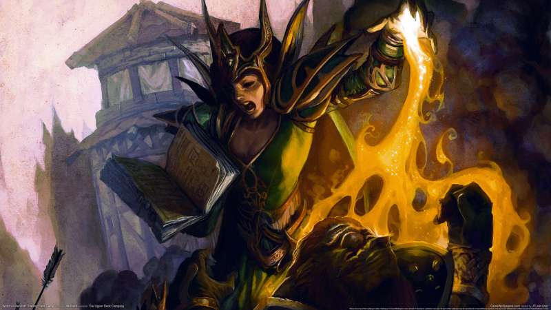 World of Warcraft: Trading Card Game wallpaper or background