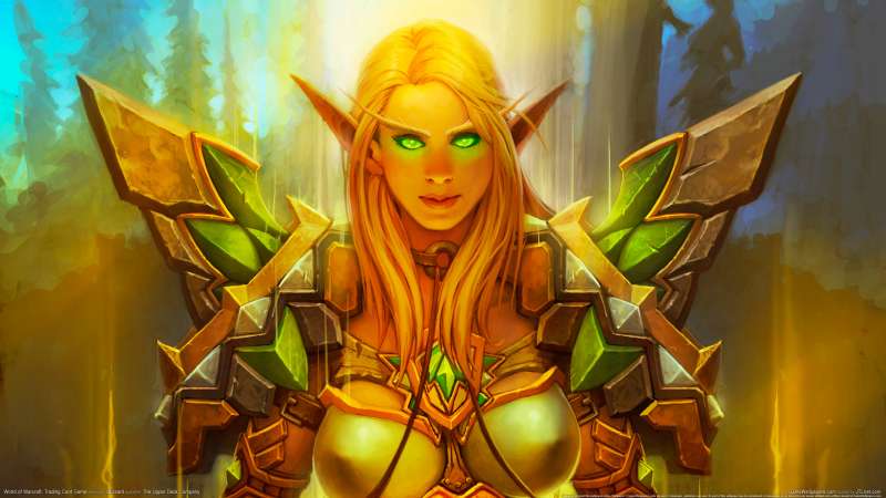 World of Warcraft: Trading Card Game wallpaper or background