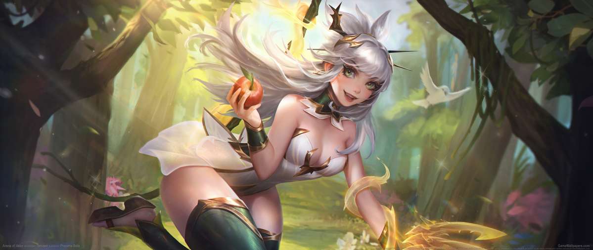 Arena of Valor wallpaper or background