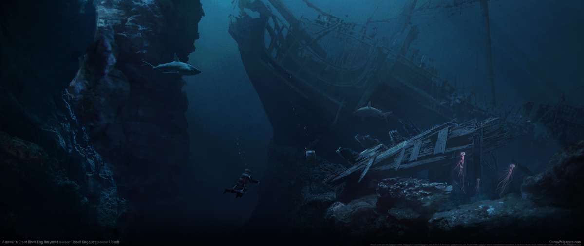Assassin's Creed: Black Flag Resynced wallpaper or background
