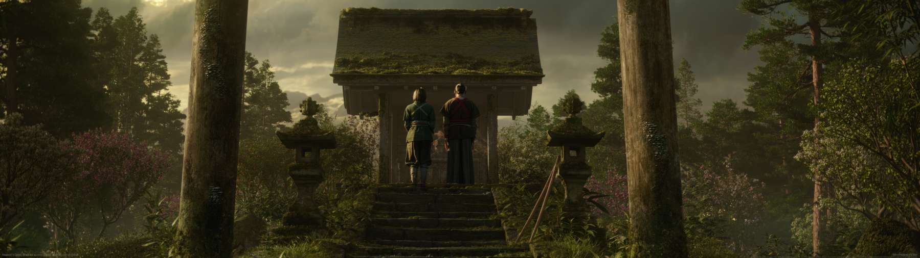 Assassin's Creed: Shadows superwide wallpaper or background 03
