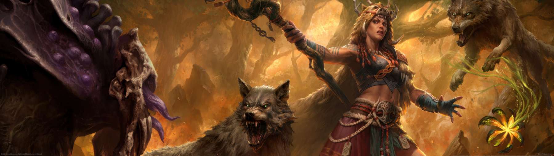 Diablo Immortal wallpaper or background