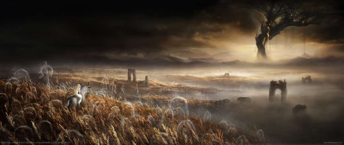 Elden Ring: Shadow of the Erdtree wallpaper or background