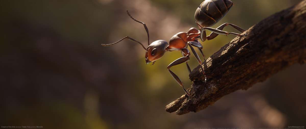 Empire of the Ants wallpaper or background