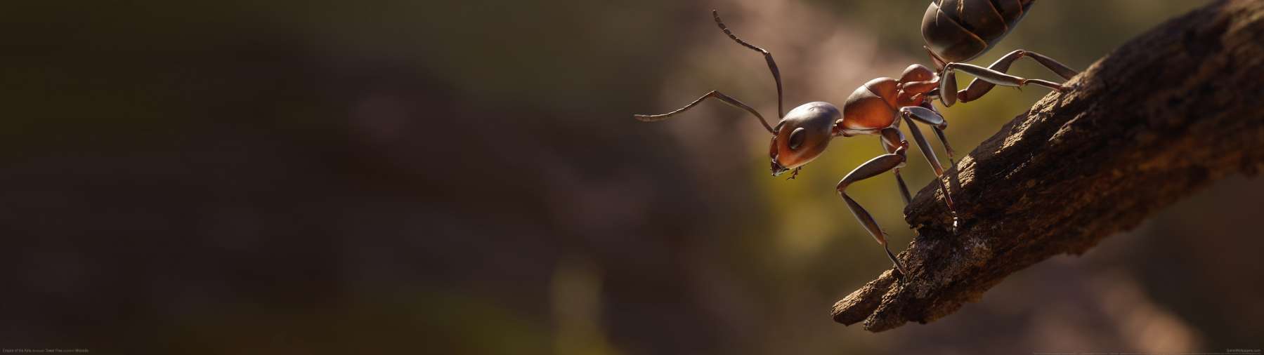 Empire of the Ants wallpaper or background