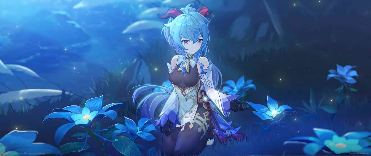Genshin Impact wallpaper or background