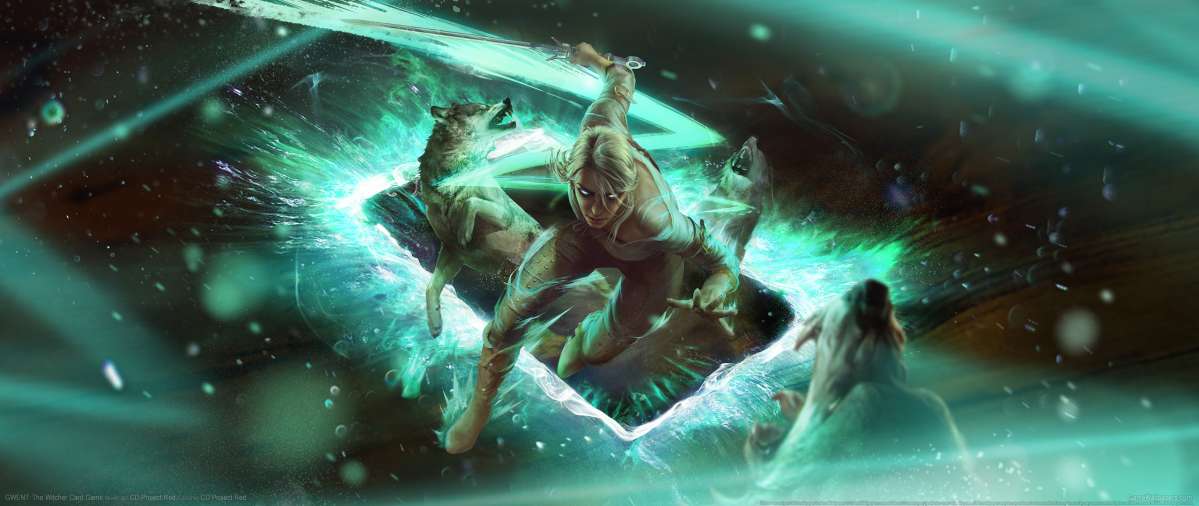 GWENT: The Witcher Card Game wallpaper or background