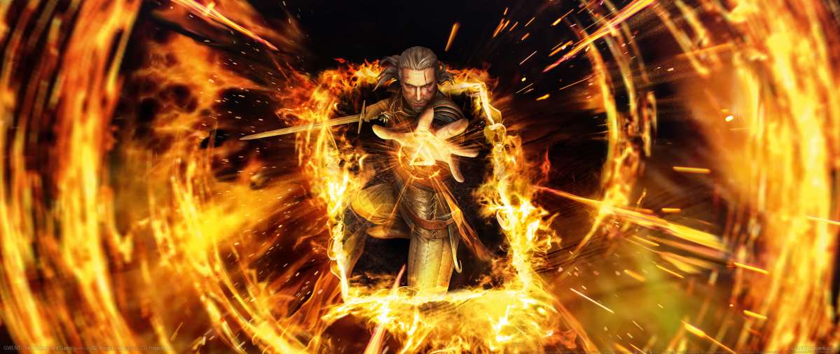 GWENT: The Witcher Card Game wallpaper or background