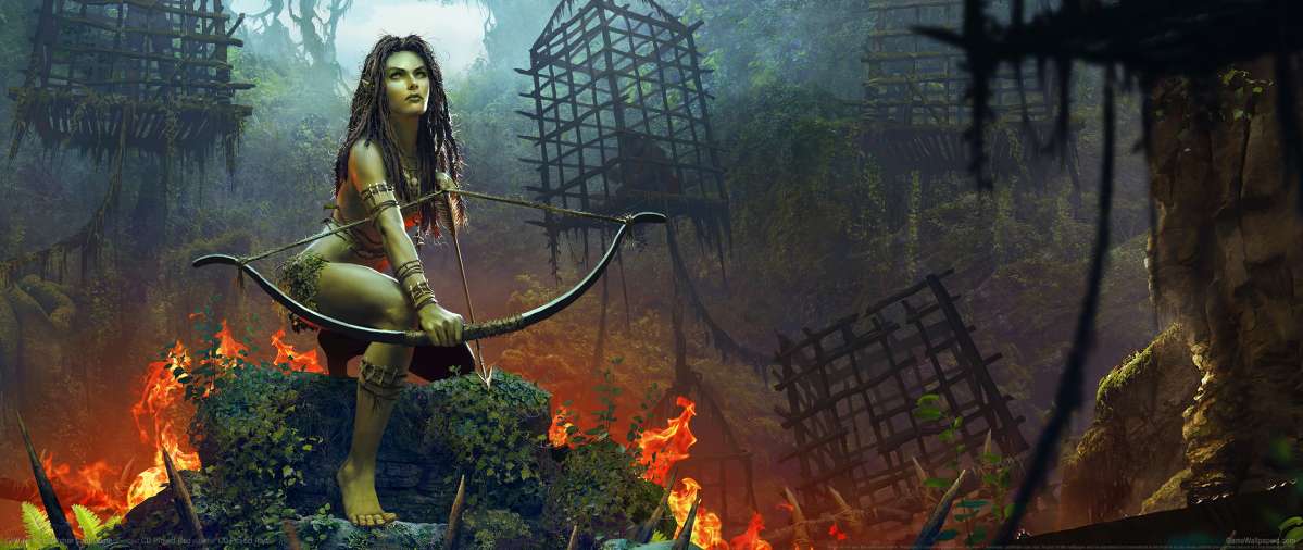 GWENT: The Witcher Card Game wallpaper or background
