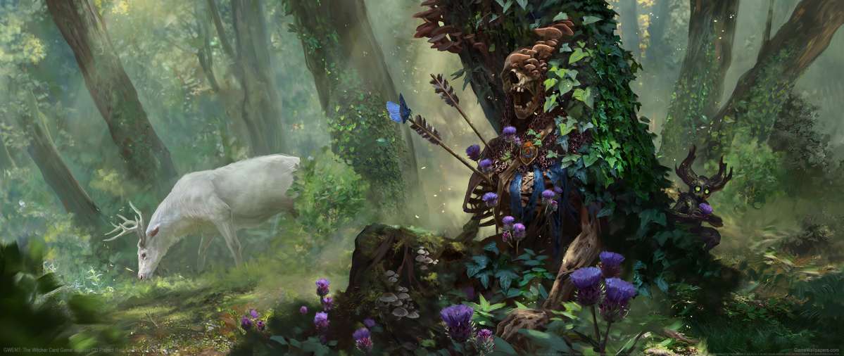 GWENT: The Witcher Card Game wallpaper or background