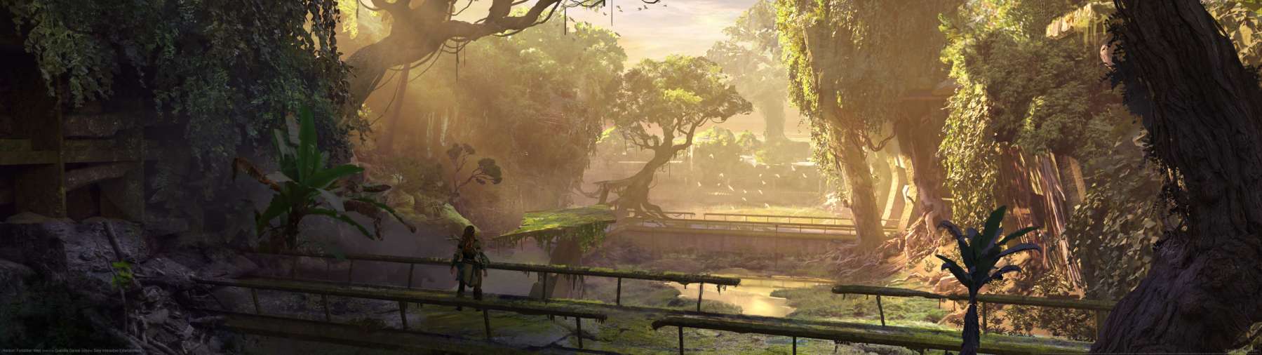 Horizon: Forbidden West wallpaper or background