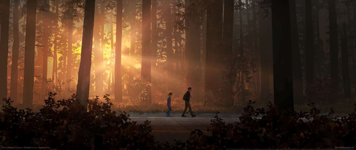 Life is Strange 2 wallpaper or background